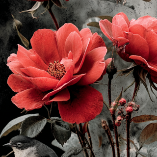 VDOKNOVENIE-GALEREY-NEIRO-ARTA-TVETY-ROZY-664c4734d1b701bf9c